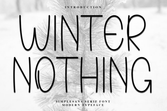 Winter Nothing Typeface: A Soft Display Font for Modern Web Design